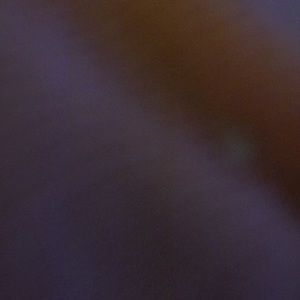 Meet your Posher, Tamika